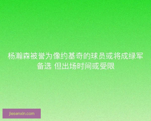 杨瀚森被誉为像约基奇的球员或将成绿军备选 但出场时间或受限