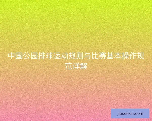 中国公园排球运动规则与比赛基本操作规范详解